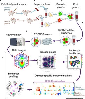 Identifying cancer-associated leukocyte profiles using high-resolution flow cytometry screening and machine learning
